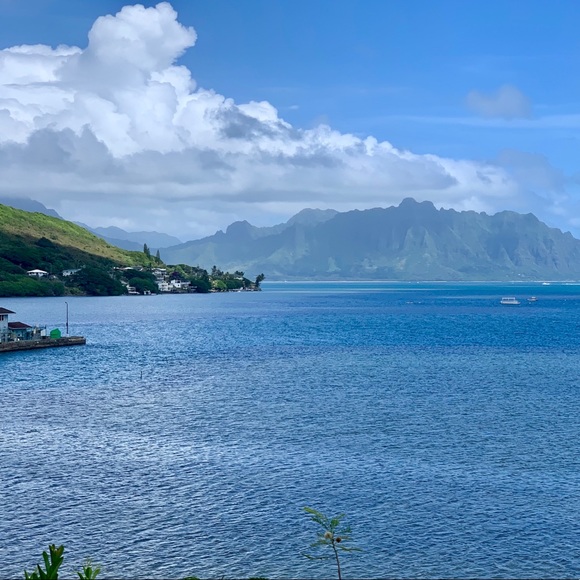 Meet your Posher, Stefanie - Picture 4 of 6